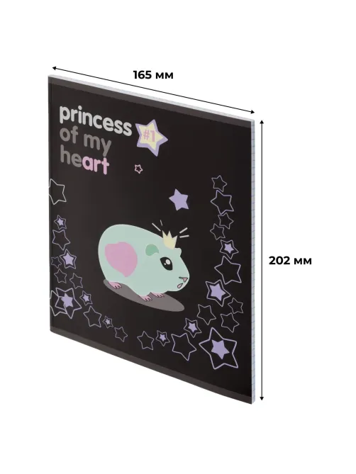 Тетрадь общая А5 48л Princess,клет,скреп, ВД-лак