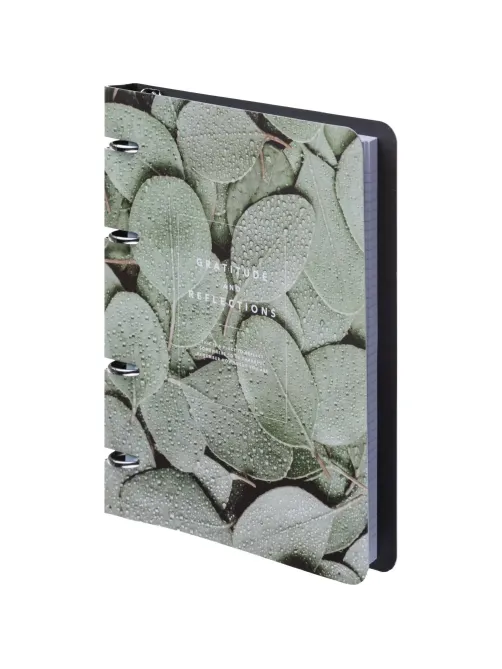 Тетрадь общая, BS, А5, 120л., клетка, кольца. Botanica, эвкалипт N4234
