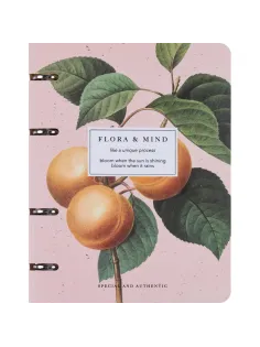 Тетрадь общая, BS, А5, 120л., клетка, кольца, Flora, персики N4236