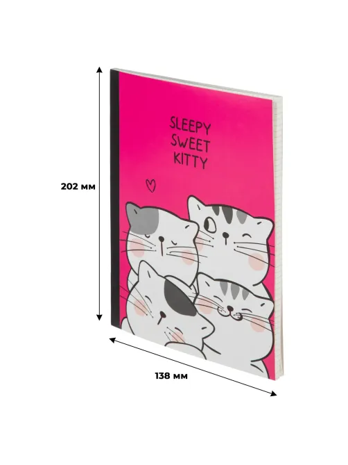 Тетрадь общая So Many Cats 60л, B5, блок бел, клетка,в ассортимент