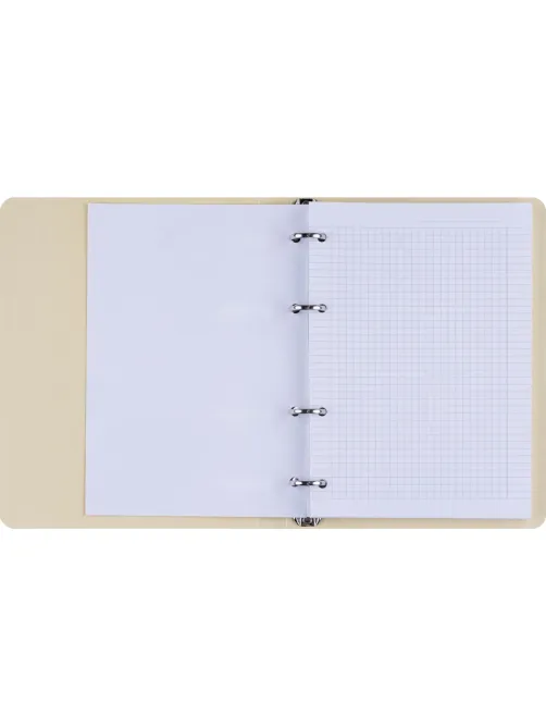 Тетрадь общая, BS, А5, 120л., клетка, кольца, Flora, персики N4236