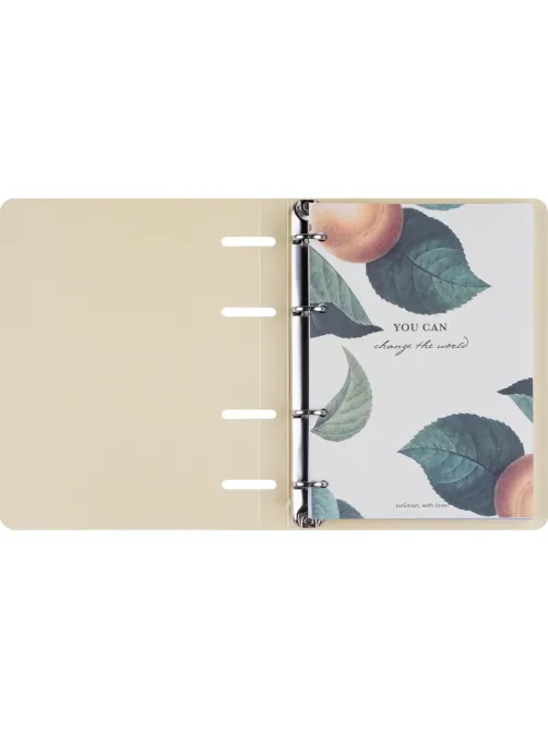 Тетрадь общая, BS, А5, 120л., клетка, кольца, Flora, персики N4236