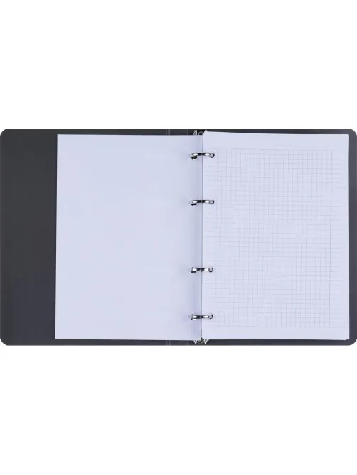 Тетрадь общая, BS, А5, 120л., клетка, кольца. Botanica, эвкалипт N4234