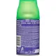 Баллон сменный для автоосвежителя Air Wick Life Scents:Волшебный сад, 250мл