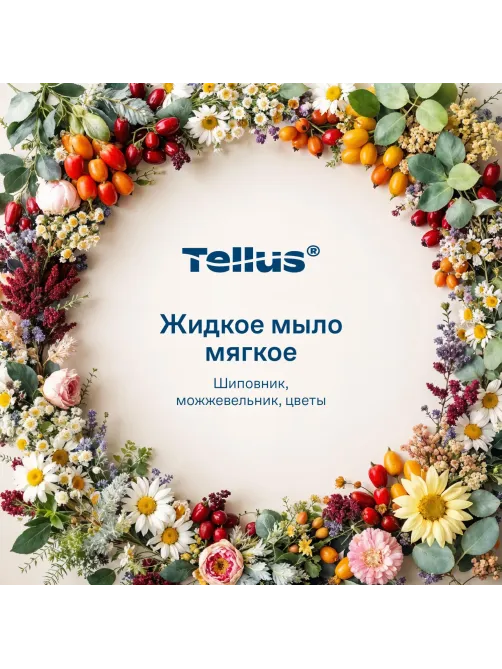 Картридж с жидким мылом Торк/Tellus для дозаторов S2 0,475л, 420512
