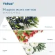 Картридж с жидким мылом Торк/Tellus для дозаторов S2 0,475л, 420512