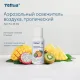 Баллон сменный для автоосвежителя Торк/Tellus Станд А1/AF1 троп100мл_611601