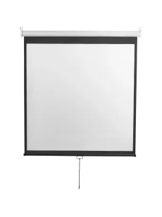 Экран Digis DSOD-1105 настенный 1:1, 200x200