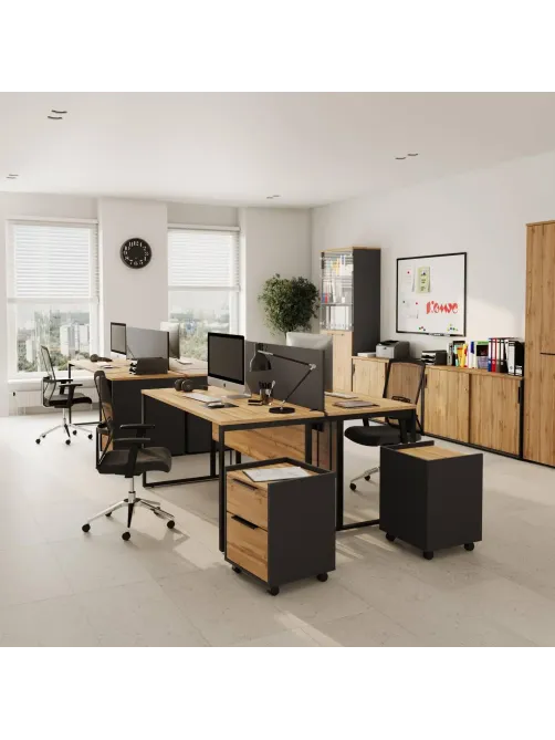 Тумба выкатн. К-Loft Director 241T006 1170x500x635 дуб натуральн/графит