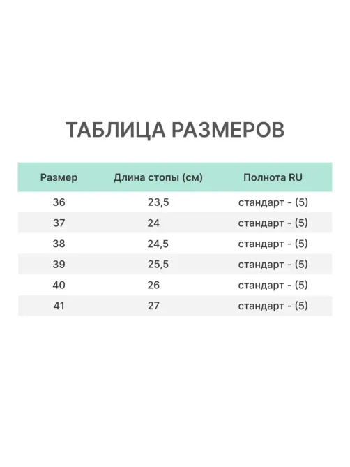 Галоши Лаура женские цв. фиолетовый ЭВА р.38