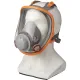 Маска полная Jeta Safety 5950 размер L (артикул производителя 5950-L)