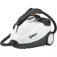 Пароочиститель Bort BDR-2300-R, 2100 Вт