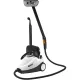 Пароочиститель Bort BDR-2300-R, 2100 Вт