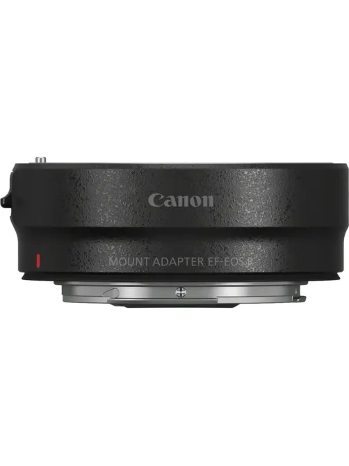 Адаптер Canon Mount Adapter EF-EOS R (2971C005)