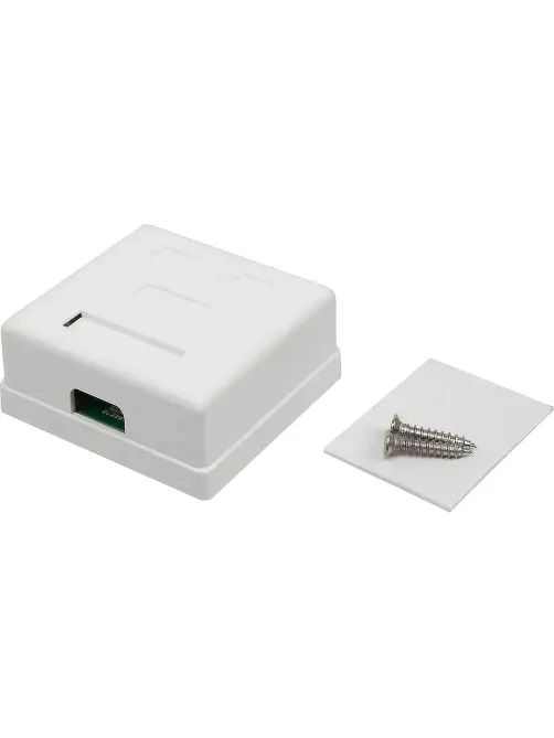 Розетка настенная TWT TWT-SM2-4545-WH 2 порта RJ-45 кат. 5е, UTP, белая