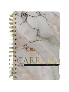 Бизнес-тетрадь BV ART А5+ 120л гребень, с разделителями CARRARA 3-737/12