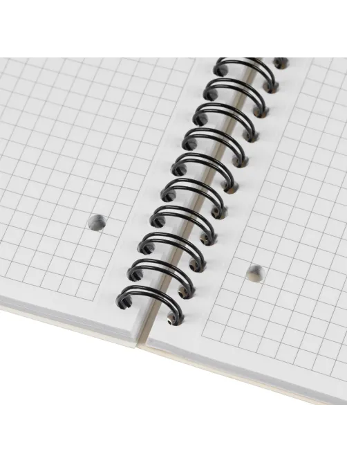 Бизнес-тетрадь 100л,кл,А4,LightBook,спираль,обл.синий,блок белый 70г/м