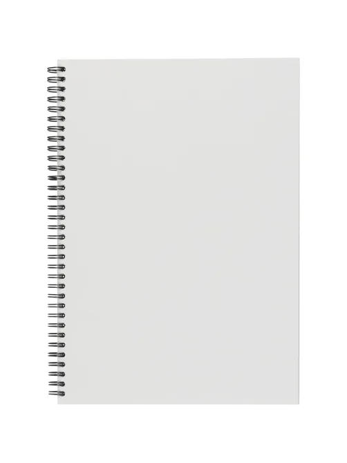 Бизнес-тетрадь 100л,кл,А4,LightBook,спираль,обл.синий,блок белый 70г/м