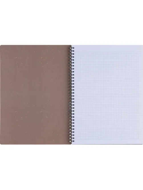 Бизнес-тетрадь, BS, А4, 96л., клетка, мягкий, спираль. Flora, инжир, N4283