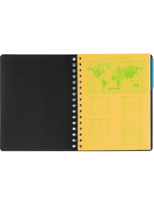 Бизнес-тетрадь SMARTBOOK А5 120л. клетка,спир,микроп,разд,карм,сер-бирюз