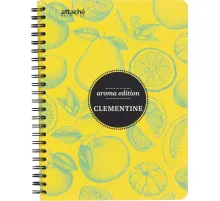 Бизнес-тетрадь  ароматизир.100л,кл,А5, КЛЕМЕНТИН,спир,тонир.блок 84906