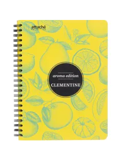 Бизнес-тетрадь  ароматизир.100л,кл,А5, КЛЕМЕНТИН,спир,тонир.блок 84906