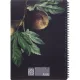 Бизнес-тетрадь, BS, А4, 96л., клетка, мягкий, спираль. Flora, инжир, N4283