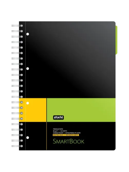 Бизнес-тетрадь SMARTBOOK А4 120л. линейка,спир,микроп,разд,карм,жел-зел