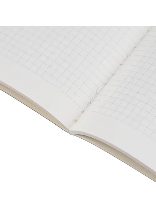 Бизнес-тетрадь А5,Bruno Visconti,MEGAPOLIS 60л.Клетка,7-60-550/28