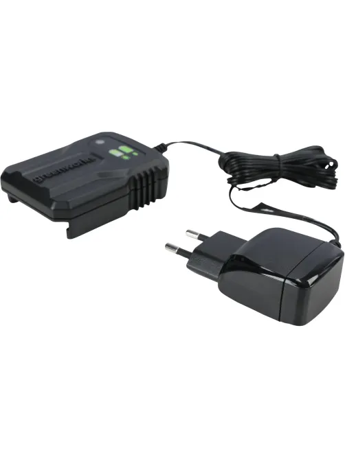 Зарядное устройство Greenworks G24UC2, 24V, 2А (2946207)