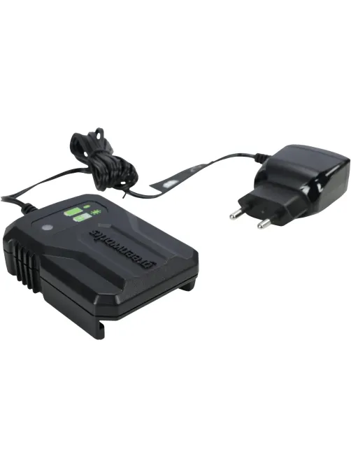 Зарядное устройство Greenworks G24UC2, 24V, 2А (2946207)