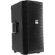 Акустическая система Echo Acoustic EX112P, активная, 1000Вт Peak, DSP