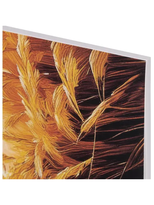Альбом для рисования Комус Класс Nature,А4,40л,спираль,в асс,2шт/уп