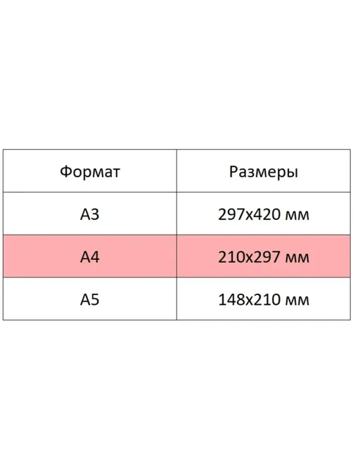 Альбом для рисования Kroyter А4 24л скл,бл.100г, Аnimals,диз.в асс.64607