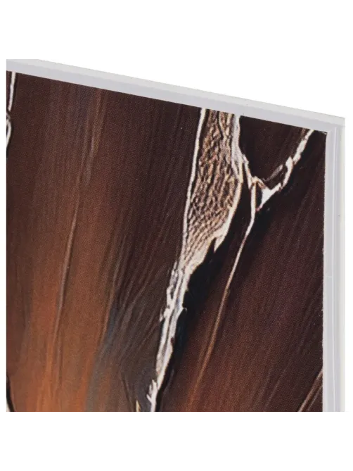 Альбом для рисования Комус Класс Nature,А4,40л,спираль,в асс,2шт/уп
