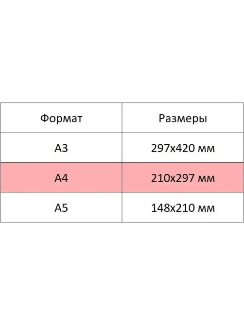 Альбом для рисования Комус Класс Kitty 32л спираль А4, УФ лак 2 шт/уп