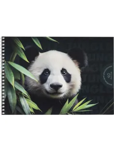Альбом для рисования Комус Класс Дикие животные,А4,40л,спираль,в асс,2шт/уп