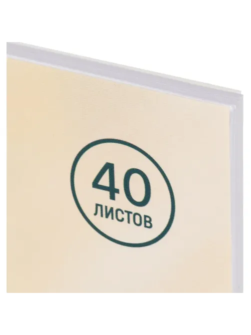 Альбом для рисования Комус Класс Сафари,А4,40л,спираль,в асс,2шт/уп