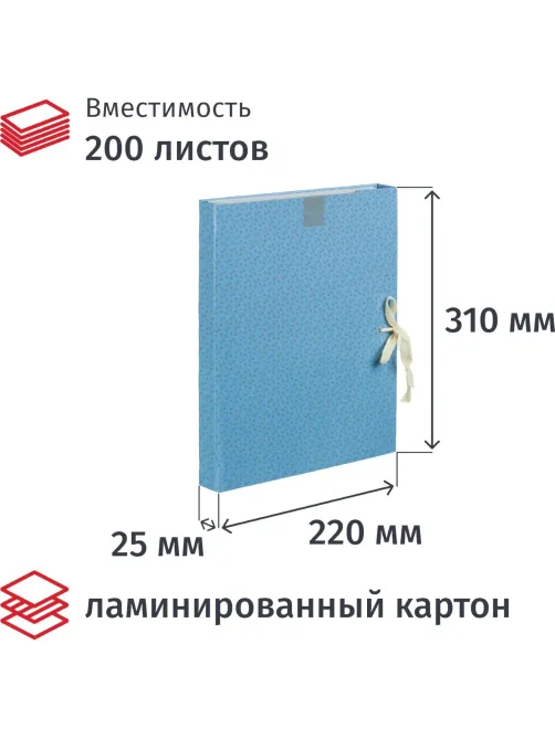 Папка архивная ламинированная Fleur 20мм на 2-х завязках