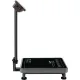 Весы торговые напольные M-ER 335ACLP-300.50 TURTLE,LCD с расч. стоим_3119
