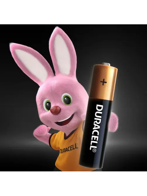 Батарейка DURACELL BASIC ААA/LR03-12BL