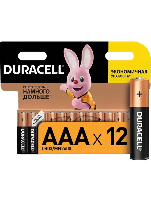 Батарейка DURACELL BASIC ААA/LR03-12BL