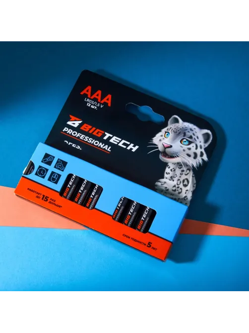 Батарейка BigTech Professional ААA/LR03 уп/12шт