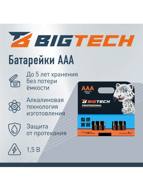 Батарейка BigTech Professional ААA/LR03 уп/12шт