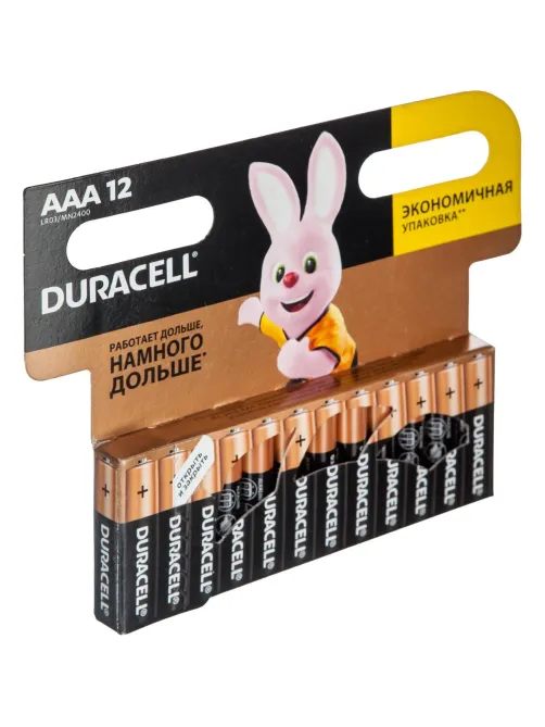 Батарейка DURACELL BASIC ААA/LR03-12BL