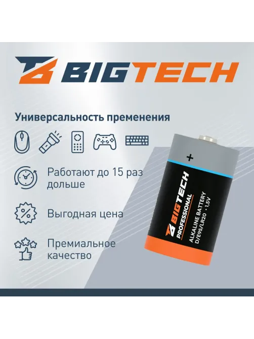 Батарейка BigTech Professional D/E95/LR20 бл/2шт