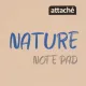 Блокнот А5 60л Attache Nature Beige flowers клет,65г,100%,греб,карт,ВД-лак