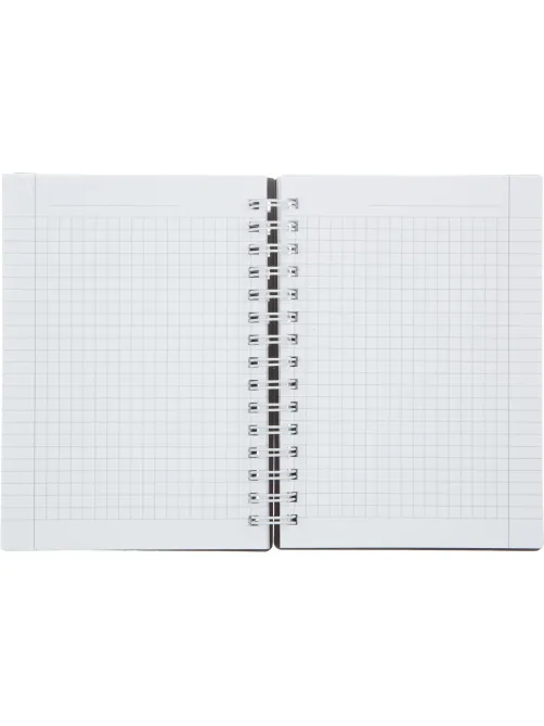 Блокнот BS, 102х142мм, 120л., клетка,  спираль. Botanica, эвкалипт, N4261