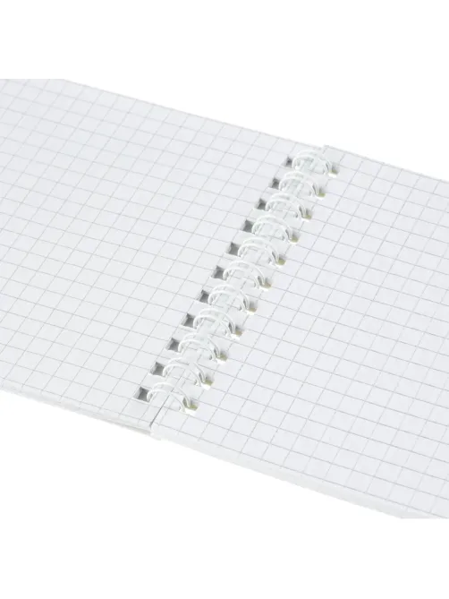 Блокнот Attache Economy Города А6 40л. разноцв.,клетка,спираль (105х145мм)