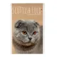 Блокнот КОТЯТА А6 40л на скрепке в ассорт 3-40-110 Д